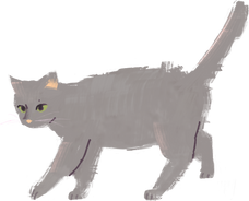Painterly Turkiye Grey Cat